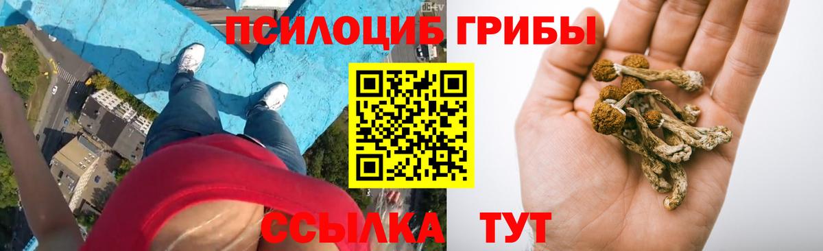 Псилоцибиновые грибы Magic Shrooms  Вход с VPN  Магадан 